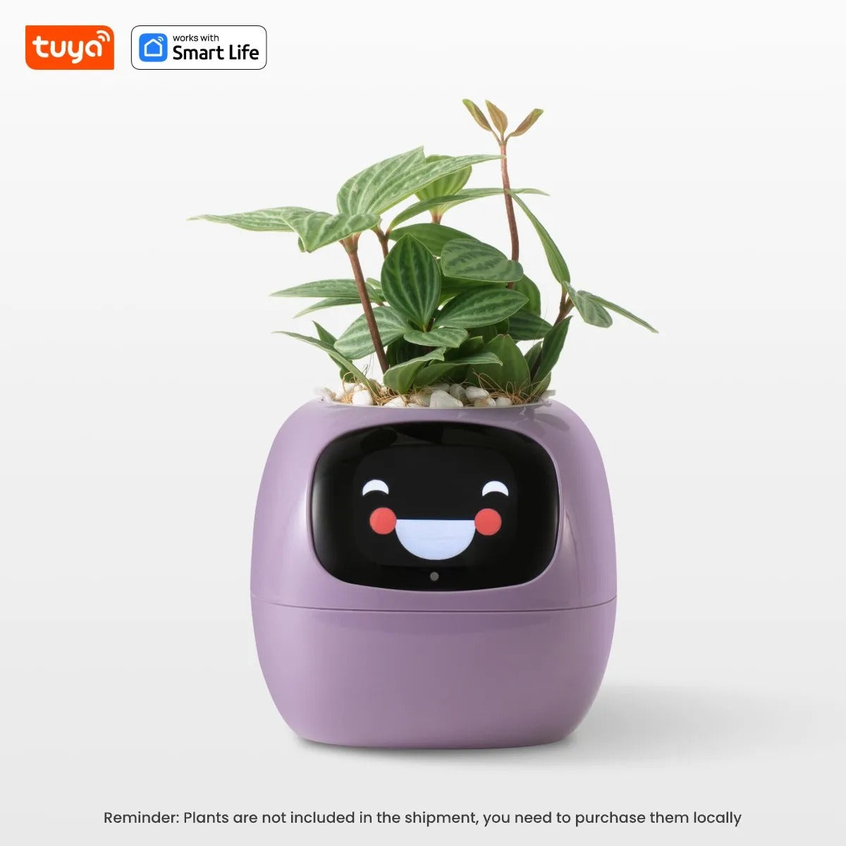 MoodPot: Caring for Your Indoor Plants with Style and Fun