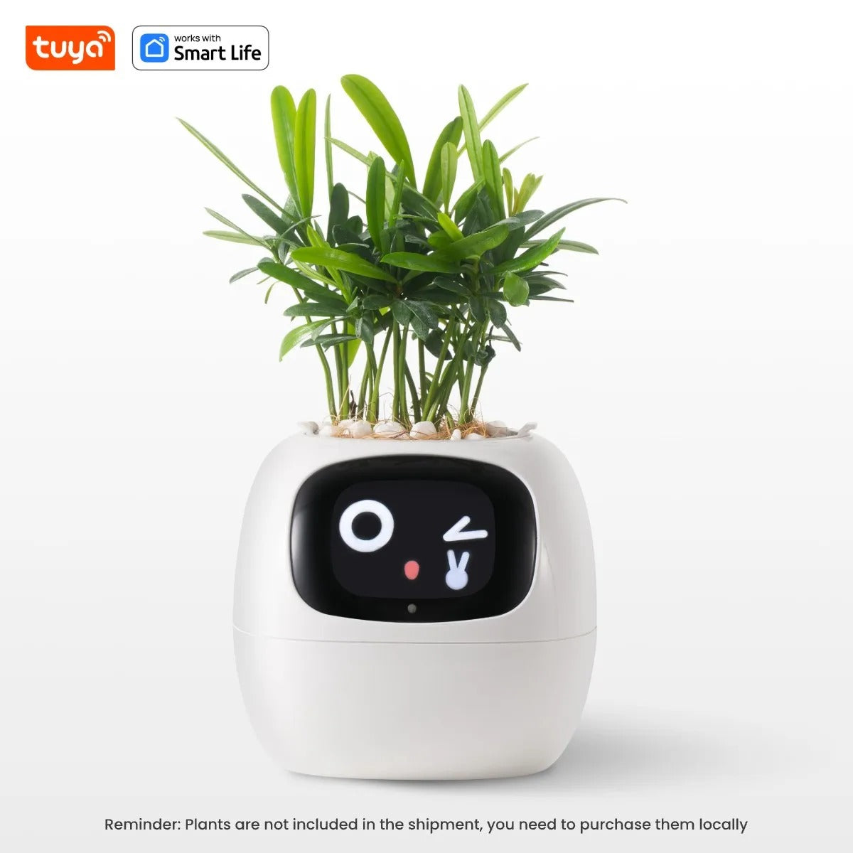 MoodPot: Caring for Your Indoor Plants with Style and Fun