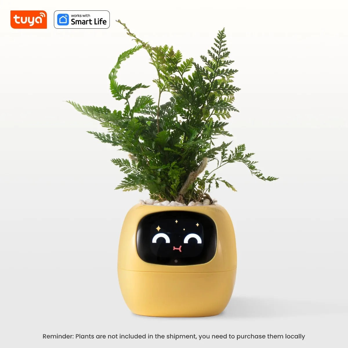 MoodPot: Caring for Your Indoor Plants with Style and Fun