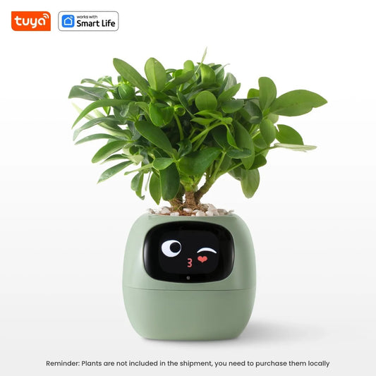 MoodPot: Caring for Your Indoor Plants with Style and Fun